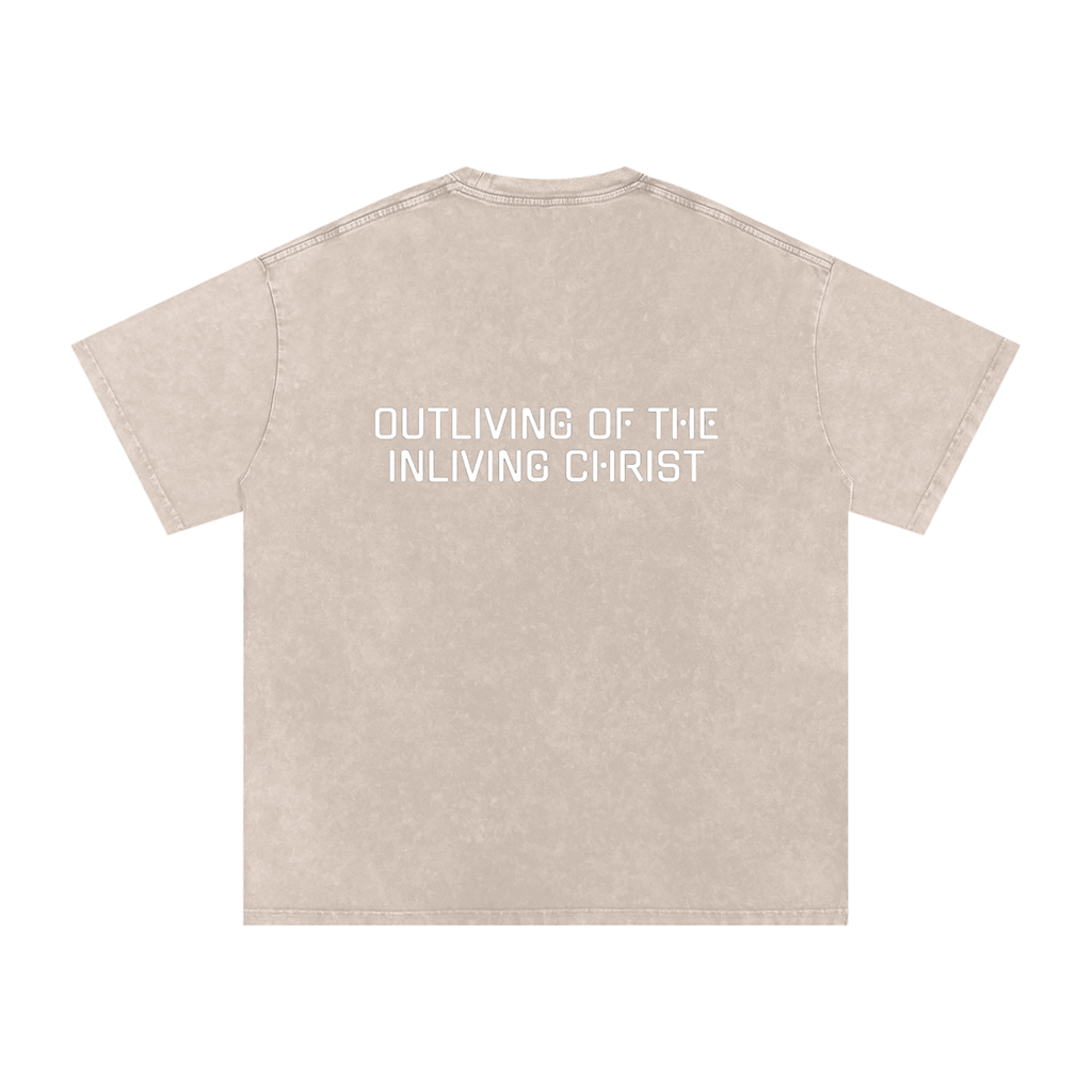 Snow Washed Oversized Cotton T-Shirt
