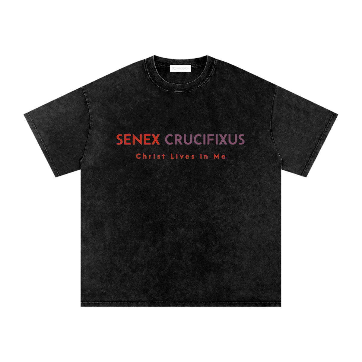 Christ Lives in Me Tee