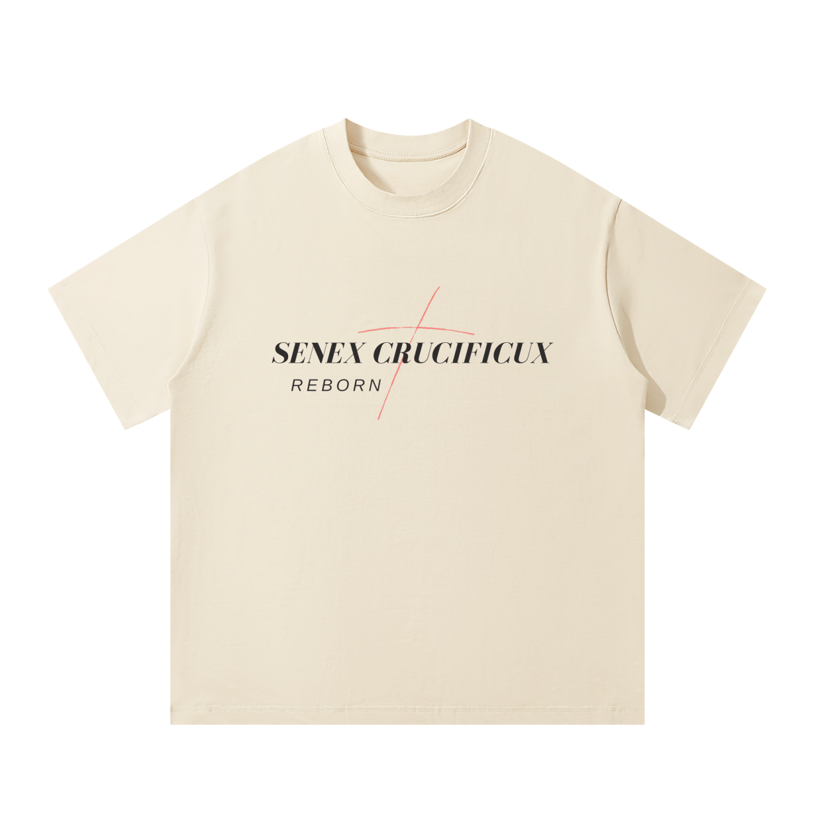 Christ Through Me Oversized Tee