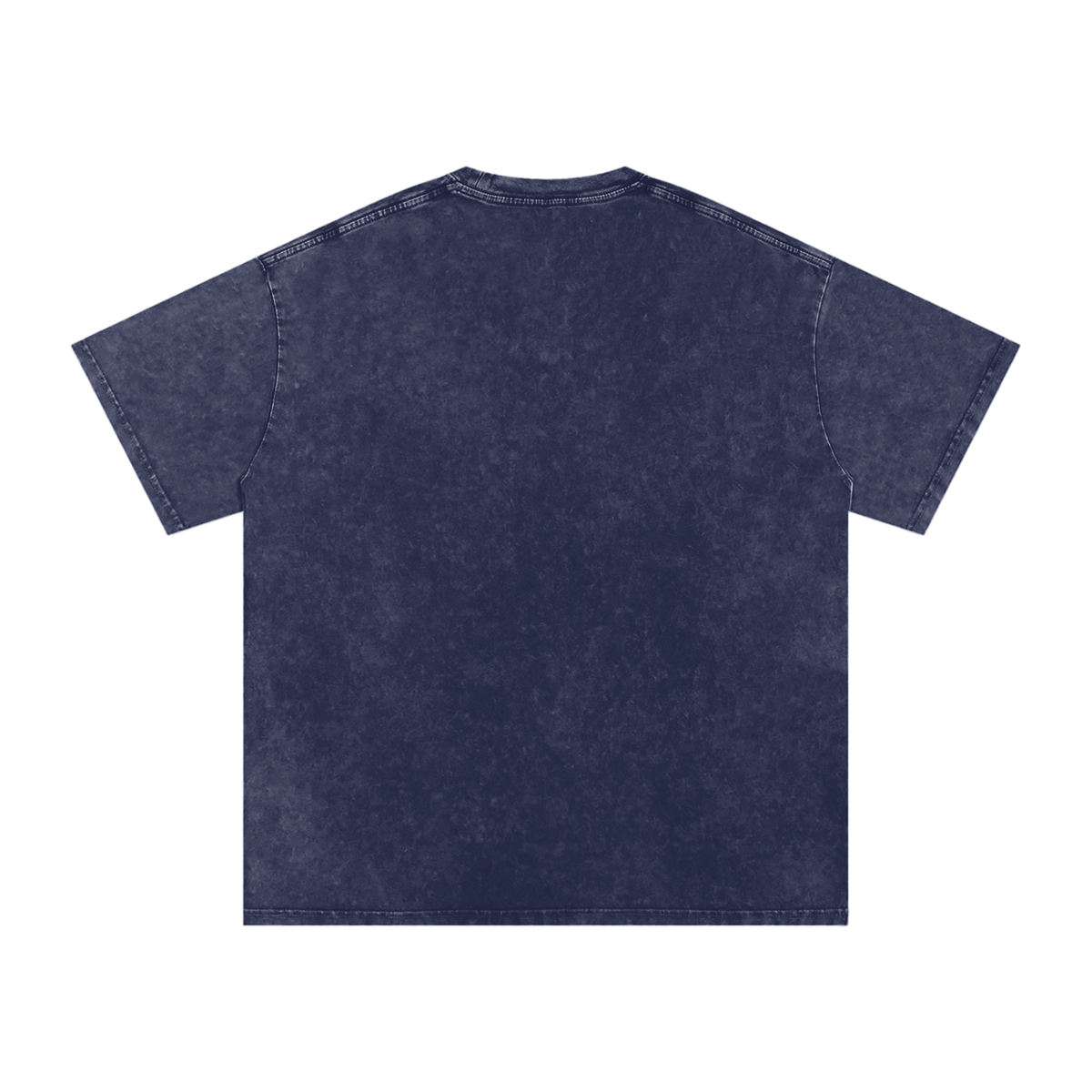 Snow Washed Reborn T-Shirt